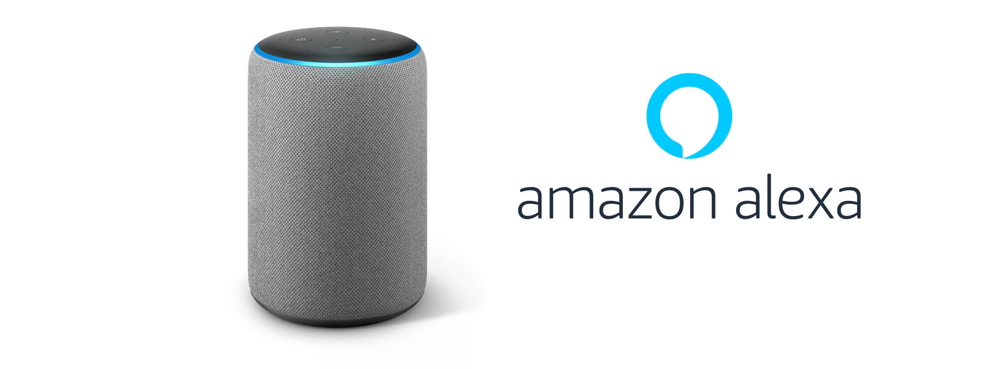 Echo Gray - skill Raccolta rifiuti per Amazon Alexa