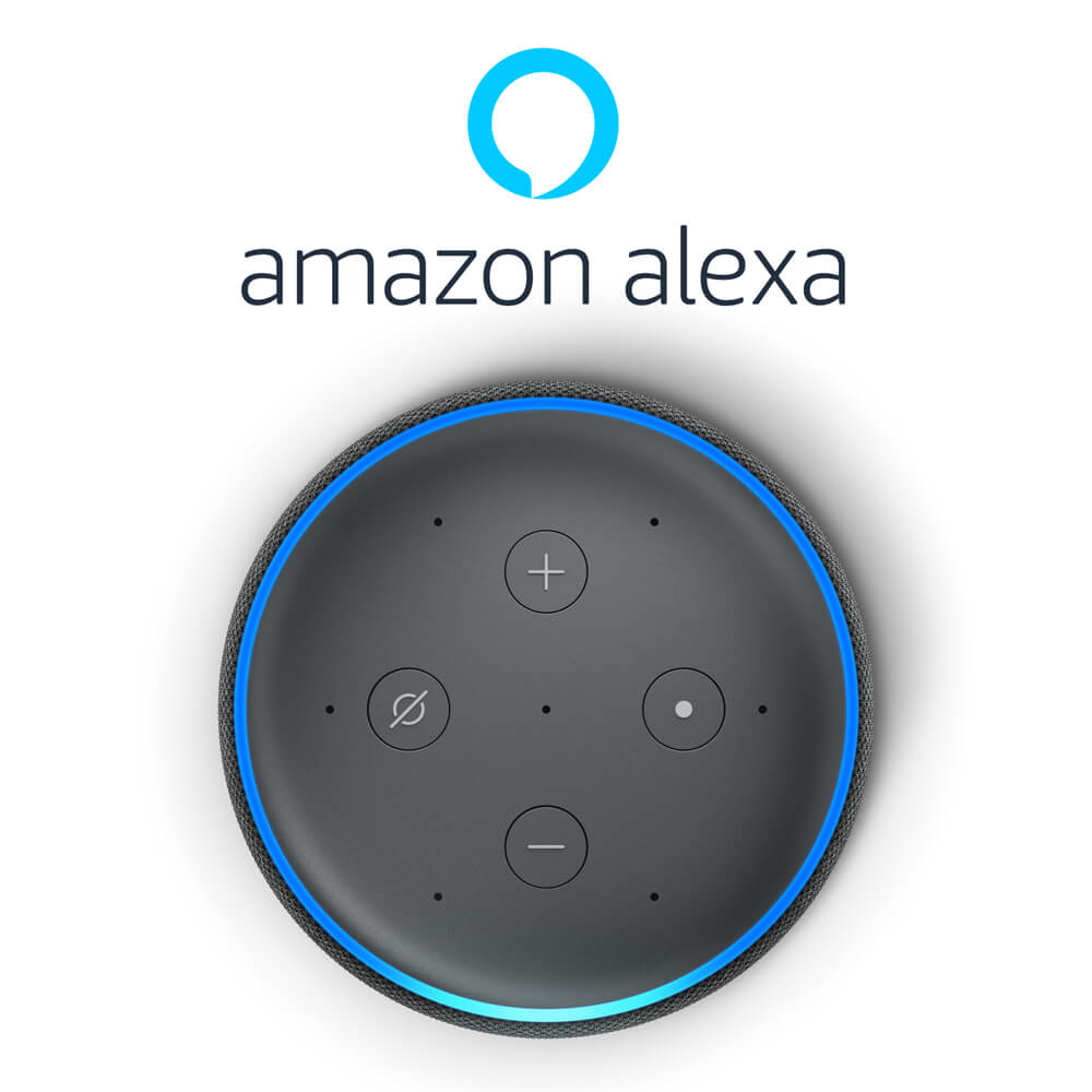 Echo Dot - skill Raccolta rifiuti per Amazon Alexa
